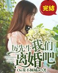 厉先生我们离婚吧
