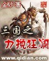 《三国之力挽狂澜》