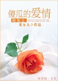 韓娛之傻瓜的愛情