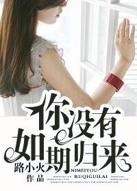 《你没有如期归来》