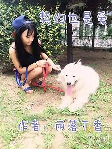 契约也是爱