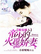 《婚宠撩人:帝少的火爆娇妻》