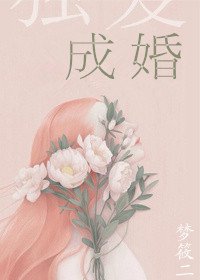 《独宠成婚》