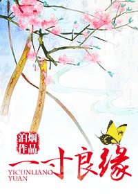 《一寸良缘》