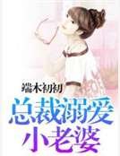 总裁溺爱小老婆