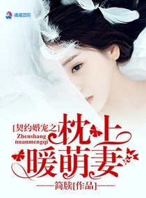 《契约婚宠之枕上暖萌妻》