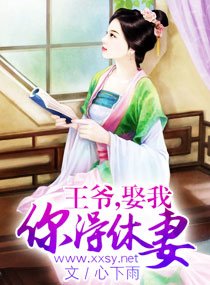 王爷,娶我你得休妻