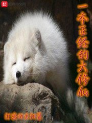 《一本正经的大修仙》