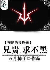 （叛逆的鲁路修同人）（叛逆的鲁路修）兄长，求不黑