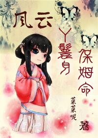 (风云同人)丫鬟身保姆命