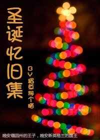 《(HP同人)圣诞忆旧集》