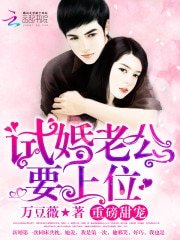 《试婚老公,要上位》