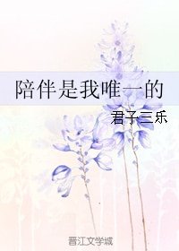 《陪伴是我唯一的》