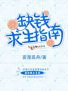 《缺钱求生指南》