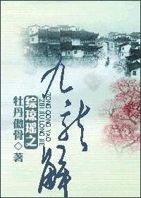 《综琼瑶之九龙解》