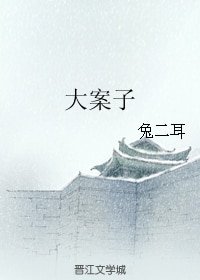 《大案子》