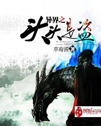 异界之头头是盗