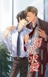 《独孤求爱(出书版)》
