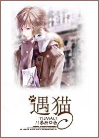 《遇猫》