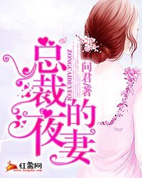 總裁的夜妻