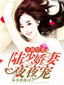 先婚厚爱：陆少娇妻夜夜宠