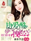 《名门佳妻:劫爱酷拽老公》