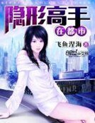 隐形高手在都市
