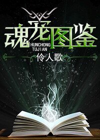 魂宠图鉴