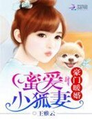 豪門暖婚：蜜愛小狐妻