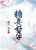 糖妻好孕