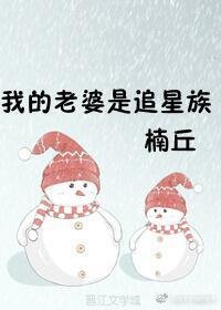 《我的老婆是追星族》
