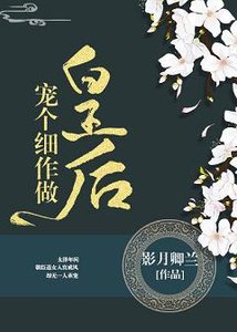 《宠个细作做皇后》