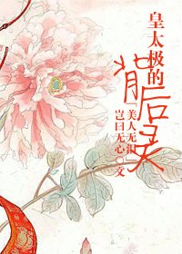 《(美人无泪同人)皇太极的背后灵》
