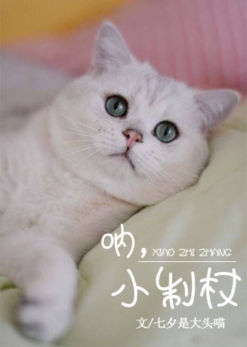 《呐,小制杖》