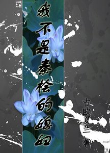 我不是秦桧的媳妇!