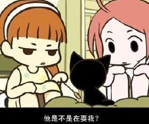(综同人)(综)妹控养成中