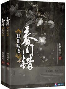 《春闺错之权相暖妻》