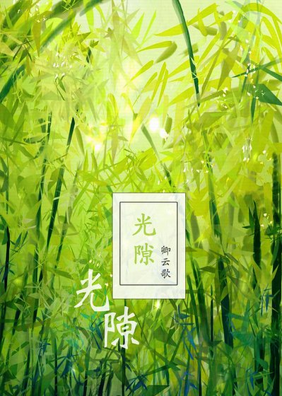 （猎人同人）[猎人]光隙