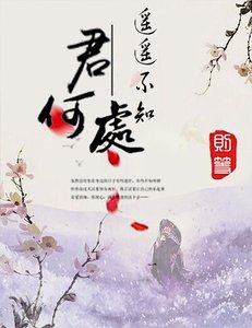 《遥遥不知君何处》