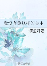 《我没有你这样的金主》