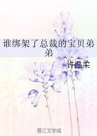 《谁绑架了总裁的宝贝弟弟》