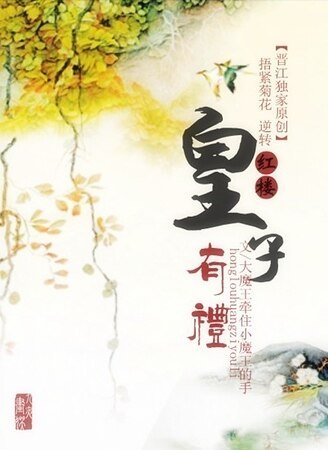 (红楼同人)皇子有礼