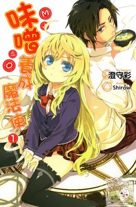 《味噌养成魔法使》