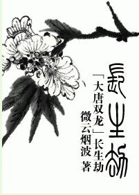 (大唐双龙传同人)长生劫
