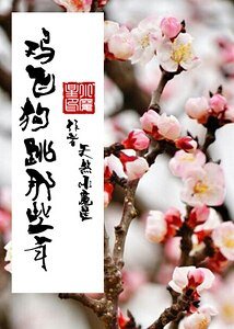 《鸡飞狗跳那些年(第一部)》