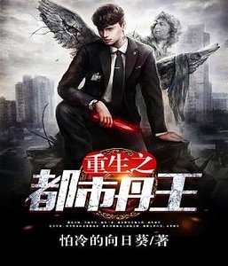 《重生之都市丹王》