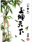 红楼之玉倾天下