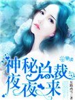《神秘总裁夜夜来》