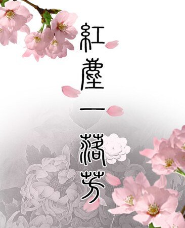 《红尘一落芳》
