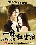 《一抹红尘泪》